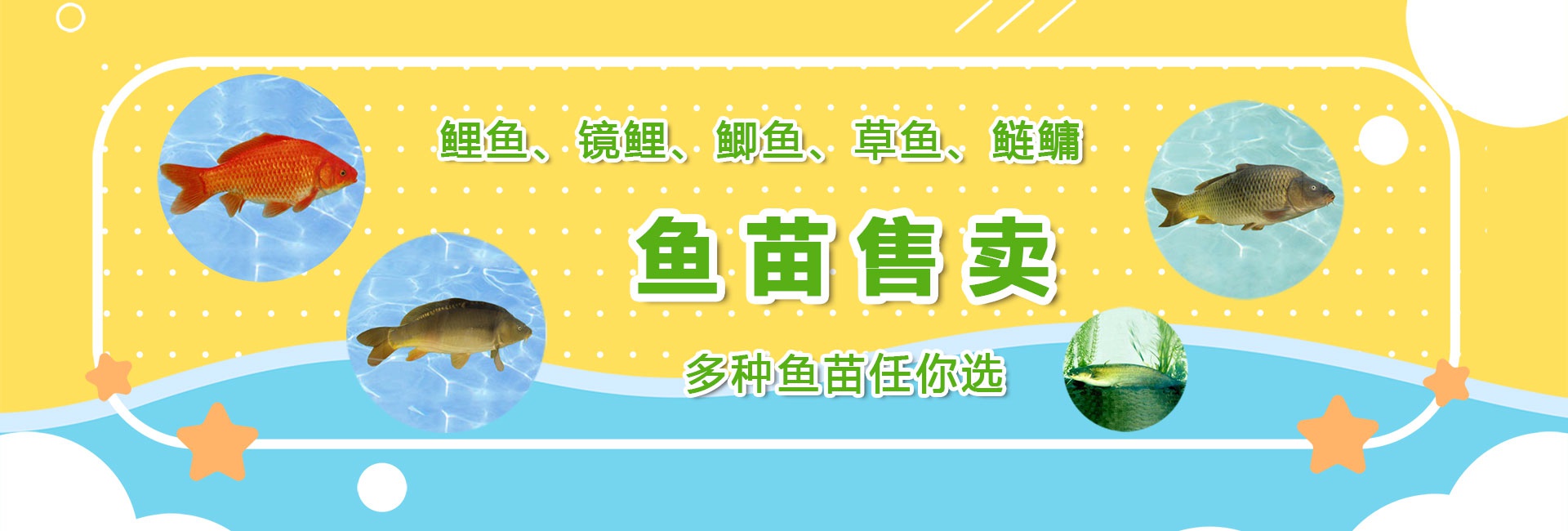 &#84;&#111;&#107;&#101;&#110;&#38065;&#21253;&#40;&#20013;&#22269;&#21306;&#41;&#23448;&#26041;&#32593;&#31449;&#124;&#84;&#111;&#107;&#101;&#110;&#23448;&#26041;&#65;&#80;&#80;&#19979;&#36733;&#45;&#20320;&#30340;&#36890;&#29992;&#25968;&#23383;&#38065;&#21253;