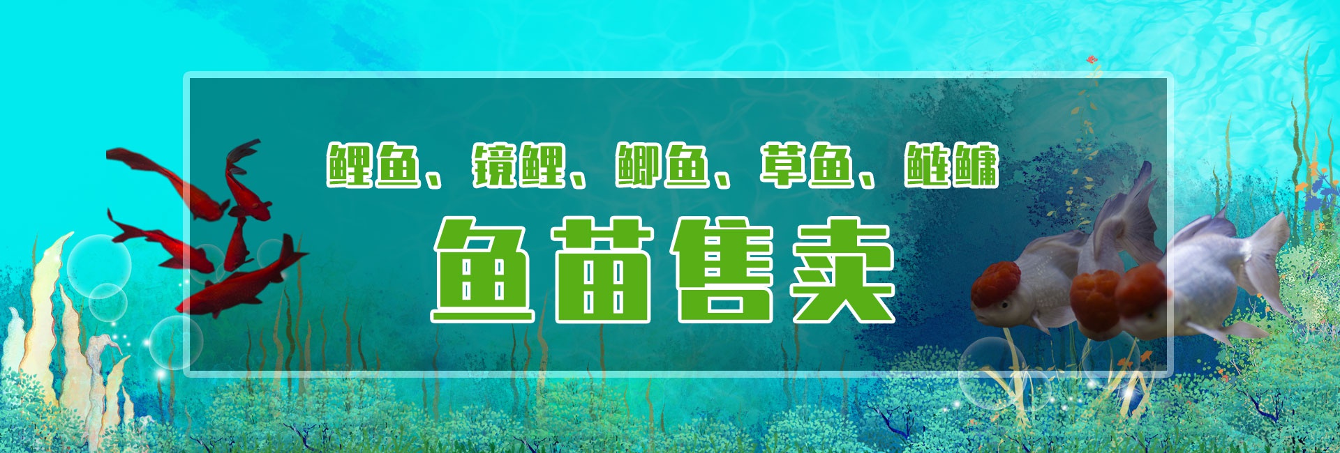 &#84;&#111;&#107;&#101;&#110;&#38065;&#21253;&#40;&#20013;&#22269;&#21306;&#41;&#23448;&#26041;&#32593;&#31449;&#124;&#84;&#111;&#107;&#101;&#110;&#23448;&#26041;&#65;&#80;&#80;&#19979;&#36733;&#45;&#20320;&#30340;&#36890;&#29992;&#25968;&#23383;&#38065;&#21253;