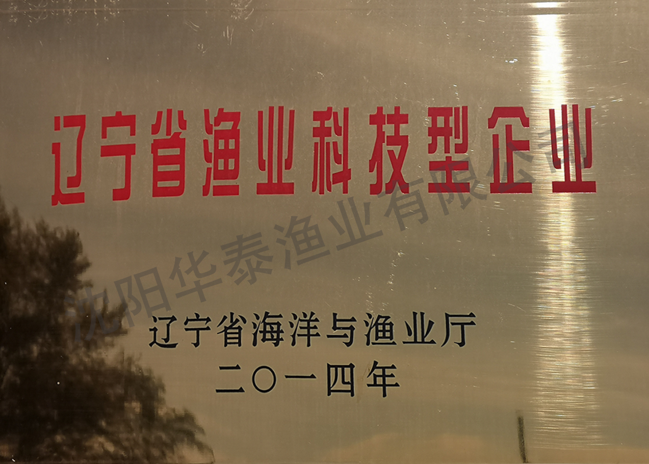 &#84;&#111;&#107;&#101;&#110;&#38065;&#21253;&#40;&#20013;&#22269;&#21306;&#41;&#23448;&#26041;&#32593;&#31449;&#124;&#84;&#111;&#107;&#101;&#110;&#23448;&#26041;&#65;&#80;&#80;&#19979;&#36733;&#45;&#20320;&#30340;&#36890;&#29992;&#25968;&#23383;&#38065;&#21253;