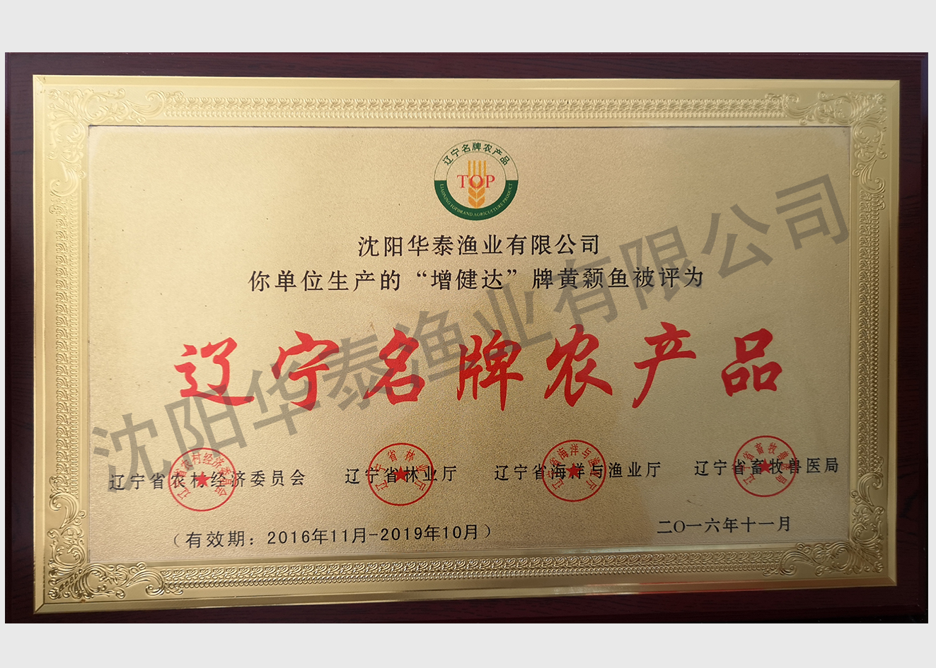 &#84;&#111;&#107;&#101;&#110;&#38065;&#21253;&#40;&#20013;&#22269;&#21306;&#41;&#23448;&#26041;&#32593;&#31449;&#124;&#84;&#111;&#107;&#101;&#110;&#23448;&#26041;&#65;&#80;&#80;&#19979;&#36733;&#45;&#20320;&#30340;&#36890;&#29992;&#25968;&#23383;&#38065;&#21253;